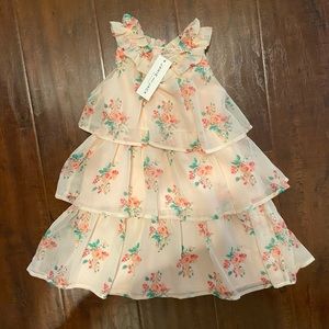 Janie and Jack Pink Floral Easter Spring Dress- 4